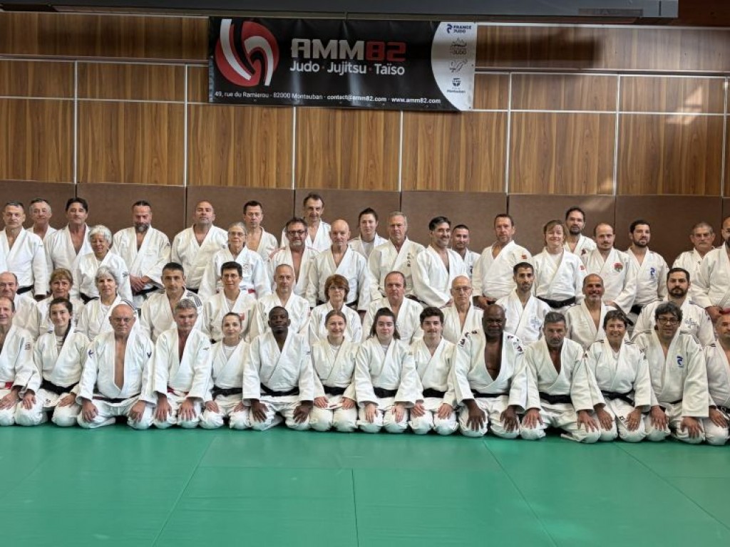 Image de l'actu 'Edition 2026 du stage Excellence Kata supérieurs à Montauban'